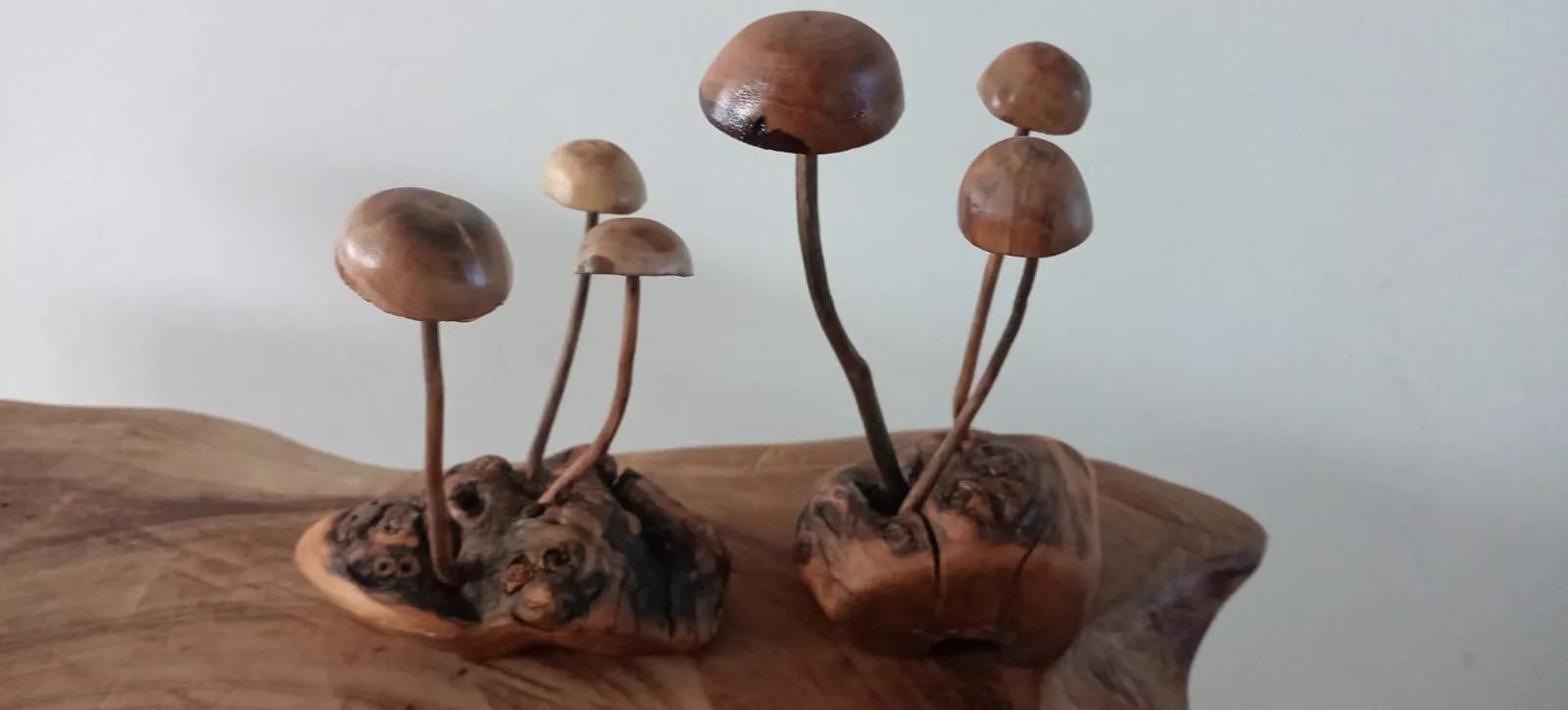 dos grupos de hongos de 3 hongos cada uno