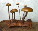 familia de 6 hongos en una mesa de madera