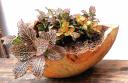 maceta de piedra con diferentes plantas